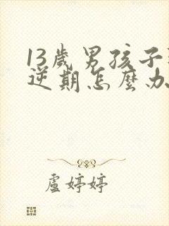 13岁男孩子叛逆期怎么办