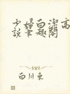 少妇白洁高义小说笔趣阁