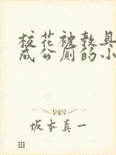 校花被教具调教成公厕的小说