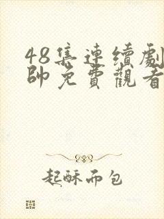 48集连续剧少帅免费观看