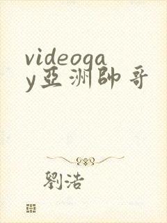 videogay亚洲帅哥