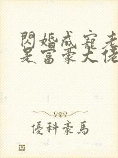 闪婚成宠老公竟是富豪大佬