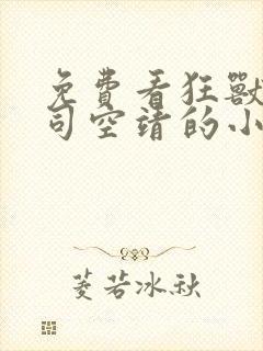 免费看狂兽战神司空靖的小说