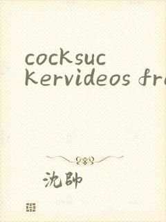 cocksuckervideos free gay porn封面