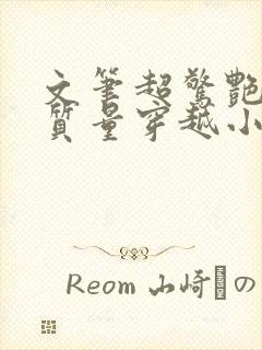 文笔超惊艳的高质量穿越小说