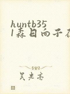 huntb351森日向子在线播放封面