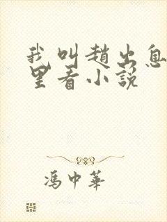 我叫赵出息在哪里看小说封面