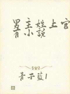 男主姓上官的所有小说