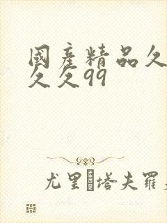 国产精品久久久久久99