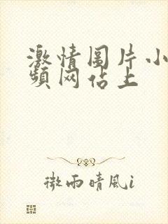 激情图片小说视频网站上封面