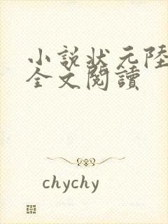 小说状元陆明渊全文阅读