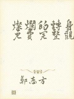 灿烂的转身高清免费完整观看