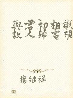 与君初相识恰似故人归电视剧免费