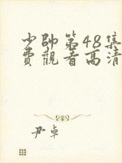 少帅第48集免费观看高清