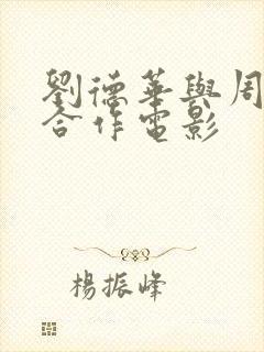 刘德华与周星驰合作电影