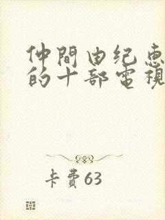 仲间由纪惠最火的十部电视剧