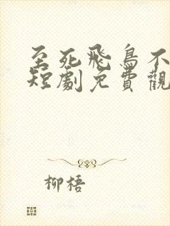 至死飞鸟不相逢短剧免费观看