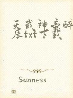 天武神帝醉梦星辰txt下载