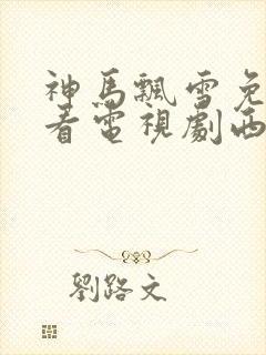 神马飘雪免费观看电视剧西瓜影院