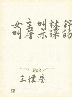 女主叫林舒男主叫唐亦琛的小说封面