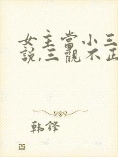 女主当小三的小说,三观不正