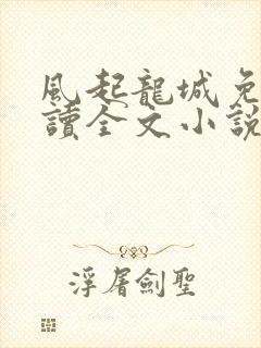 风起龙城免费阅读全文小说封面