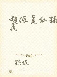 赵振美红孙倩高义