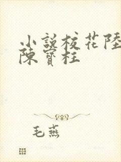 小说校花陆冰嫣陈宝柱