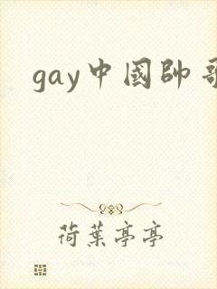 gay中国帅哥