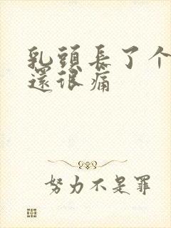 乳头长了个疙瘩还很痛封面