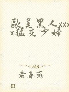 欧美黑人xxxx猛交少妇