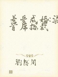 惹爱成婚:染指首席总裁