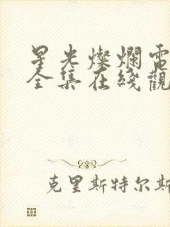 星光灿烂电视剧全集在线观看