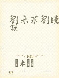 刘亦菲刘晓莉小说