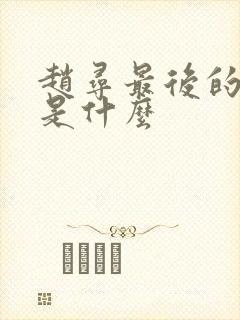 赵寻最后的结局是什么封面