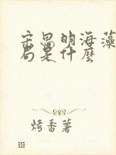 宋思明海藻大结局是什么封面