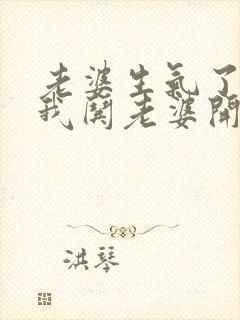 老婆生气了不理我哄老婆开心的句子