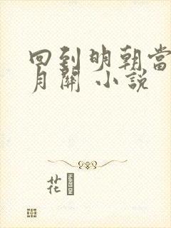 回到明朝当王爷月关 小说封面