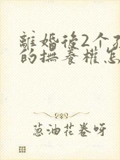 离婚后2个孩子的抚养权怎么判定呢