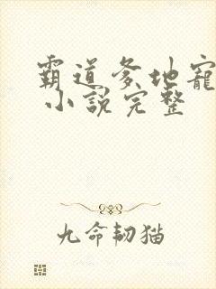 霸道爹地宠又撩 小说完整