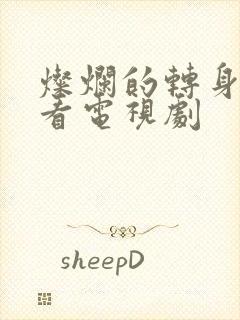 灿烂的转身免费看电视剧封面