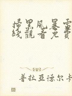 扫黑风暴电影在线观看免费完整版封面