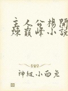 主人公杨开的武炼巅峰小说