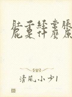 肚子经常胀气放屁是什么原因封面