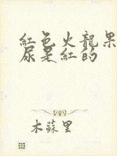 红色火龙果吃完尿是红的封面