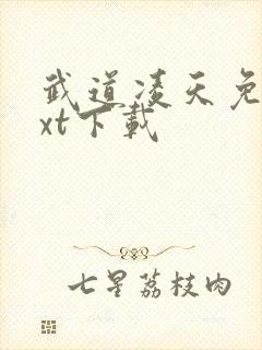 武道凌天免费txt下载