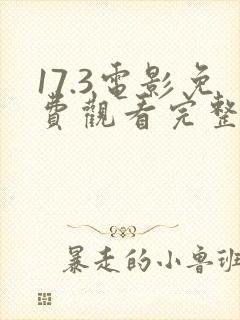 17.3电影免费观看完整版中文