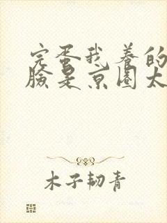 完蛋我养的小白脸是京圈太子爷免费