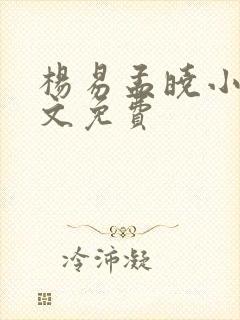 杨易孟晓小说全文免费