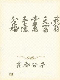 分手当天,我闪婚亿万富翁